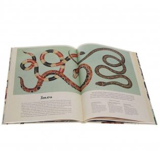 Анималиум фото книги 4