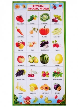 Все обучающие плакаты под одной обложкой фото книги 5