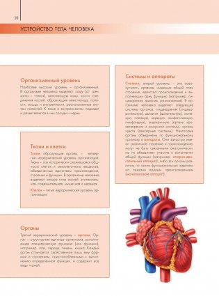 Анатомия и физиология. Большой популярный атлас фото книги 11