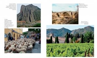 Прованс от A до Z фото книги 5