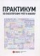 Практикум по бухгалтерскому учету и анализу. Учебно-практическое пособие фото книги маленькое 2