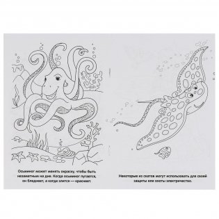 Обитатели морей фото книги 2