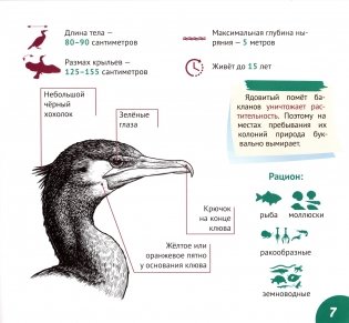 Реки и озёра Беларуси фото книги 8