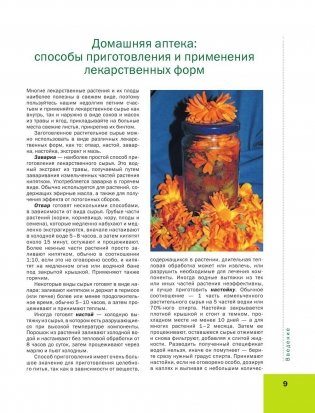 Лекарственные растения. Большая иллюстрированная энциклопедия фото книги 10