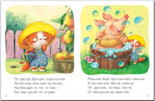 Котик фото книги 2