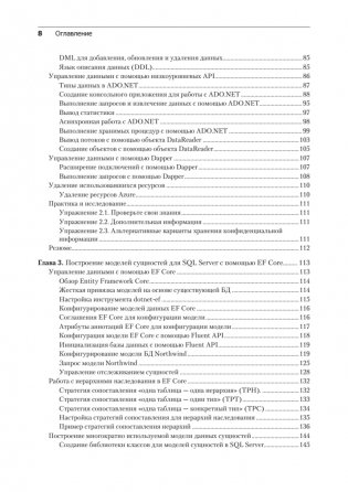 .NET 8: приложения и сервисы. Практика создания проектов с использованием Blazor, .NET MAUI, gRPC, GraphQL. 2-е изд. фото книги 4