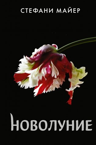 Новолуние фото книги