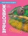 Животные. Книга юного эрудита фото книги маленькое 2