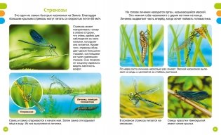 Животные-малютки фото книги 3