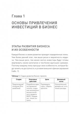 Инвестиционный трамплин. Как привлечь деньги в бизнес фото книги 13