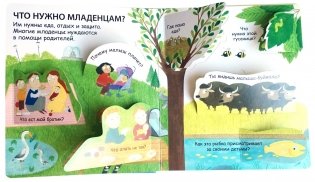 40 окошек. Откуда берутся дети фото книги 2