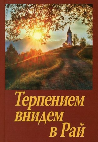 Терпением внидем в Рай! Об очищении души болезнями и скорбями фото книги
