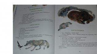 С севера на юг фото книги 4