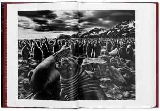 Sebastiao Salgado. Genesis фото книги 5