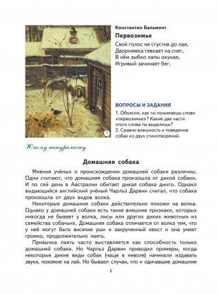 Первая после Букваря книга для чтения фото книги 10