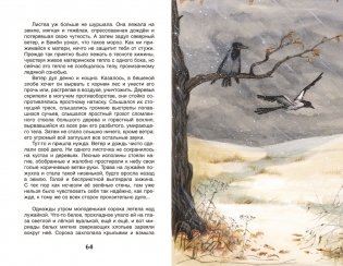 Бемби фото книги 2