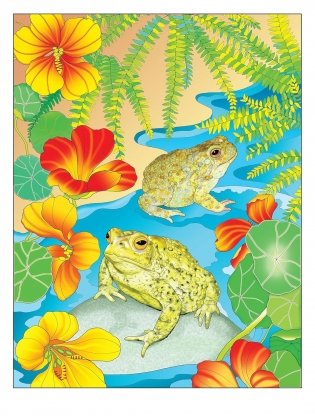 Creative Haven Forest & Woodland Wildlife Coloring Book фото книги 2
