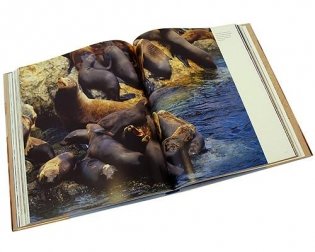 Самые красивые места дикой природы в мире фото книги 2