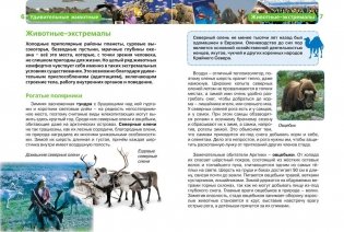 Удивительные животные фото книги 2