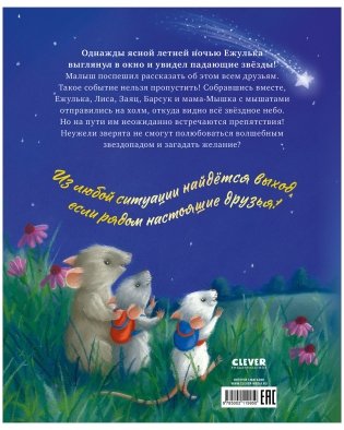 Самая звёздная ночь фото книги 13