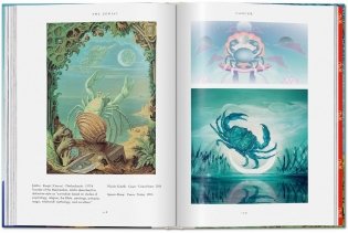 Astrology. The Library of Esoterica mini фото книги 7