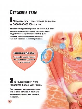 Тело человека фото книги 3