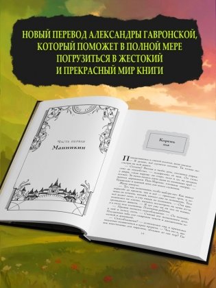 Злая: Сказка о ведьме Запада фото книги 4