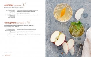 Подарочный набор "Сам себе бармен" (Wine Folly, Лимон, Миксология, игра) фото книги 7