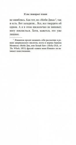 И нас пожирает пламя фото книги 8