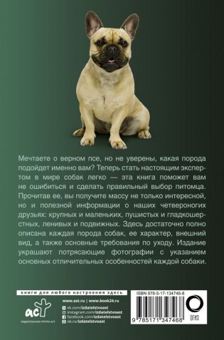 Собаки. Популярный иллюстрированный гид фото книги 2