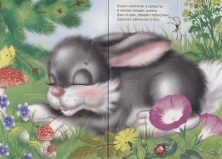 Почему надо чистить зубы фото книги 4