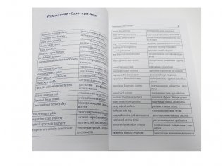 Упражнения для синхрониста. Умильные мордочки енотов. Самоучитель устного перевода с английского языка на русский язык фото книги 3