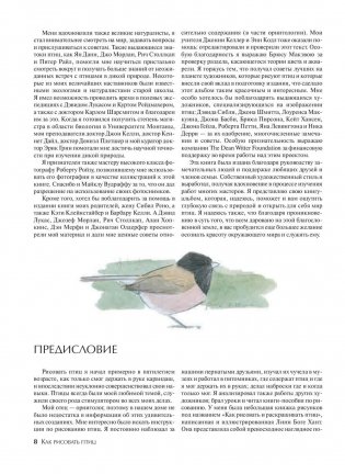 Как рисовать птиц. Руководство фото книги 6