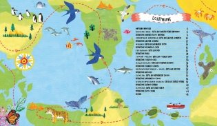 Куда идут пингвины. Маршруты миграции животных фото книги 5