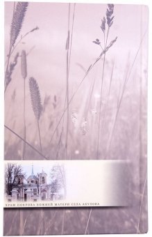 Учись растить в себе любовь. Беседы и интервью 2008-2011 годов фото книги 2