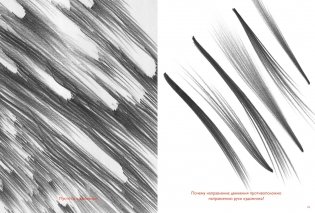 Движение: изображение объектов в динамике фото книги 6