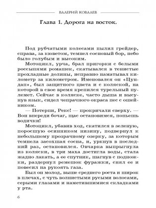 Чистильщик фото книги 4