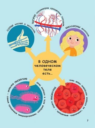 Человеческое тело. Невероятное путешествие вокруг и внутри фото книги 8
