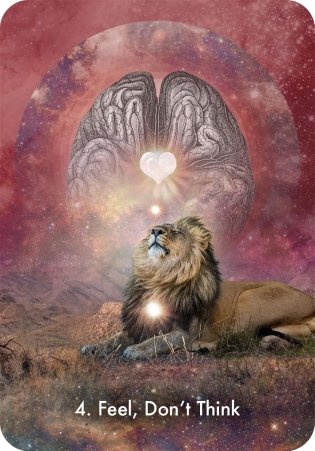 Intuitive Whispers Oracle: A 44-Card Deck and Guidebook фото книги 3