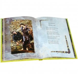 Любви прекрасные мгновения фото книги 3