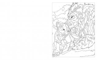 Colour by Numbers: Animal Kingdom фото книги 3