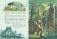 Рапунцель. Самые красивые сказки (ил. А. Симанчука) фото книги маленькое 6