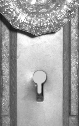 Жутко громко и запредельно близко фото книги 2