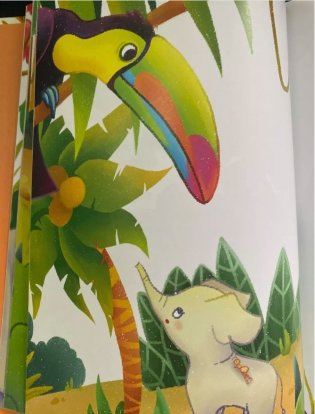 Цаца фото книги 6