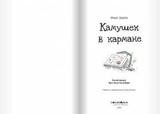 Камушек в кармане фото книги 3