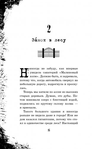 Малиновый холм, или Дом страха фото книги 17