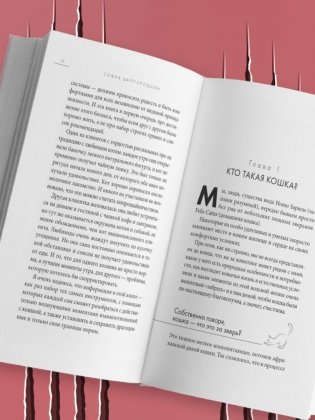 Кошачий закон и порядок. Как найти общий язык с кошкой и не стать жертвой ее капризов фото книги 6