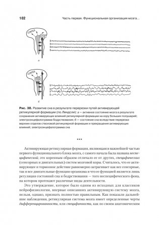 Основы нейропсихологии фото книги 14