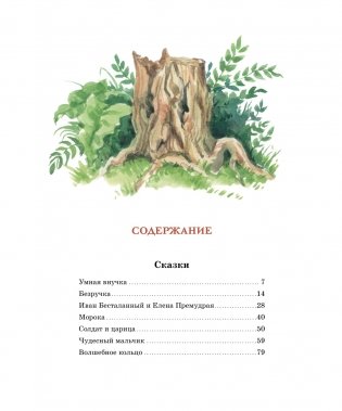 Волшебное кольцо фото книги 8