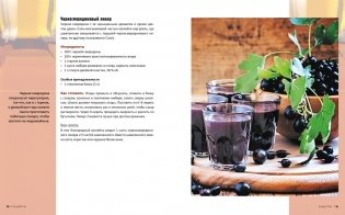 Домашний алкоголь. Способы приготовления, оборудование, рецепты фото книги 8